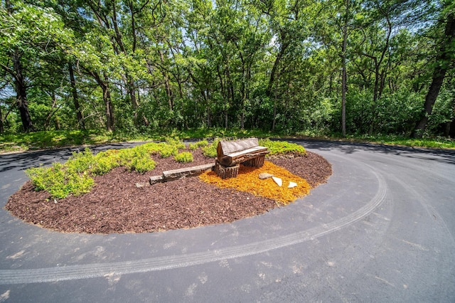1425 20th St SW, Rochester, MN 55902 - view of community