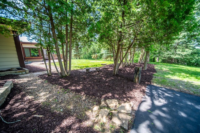 1425 20th St SW, Rochester, MN 55902 - view of green lawn