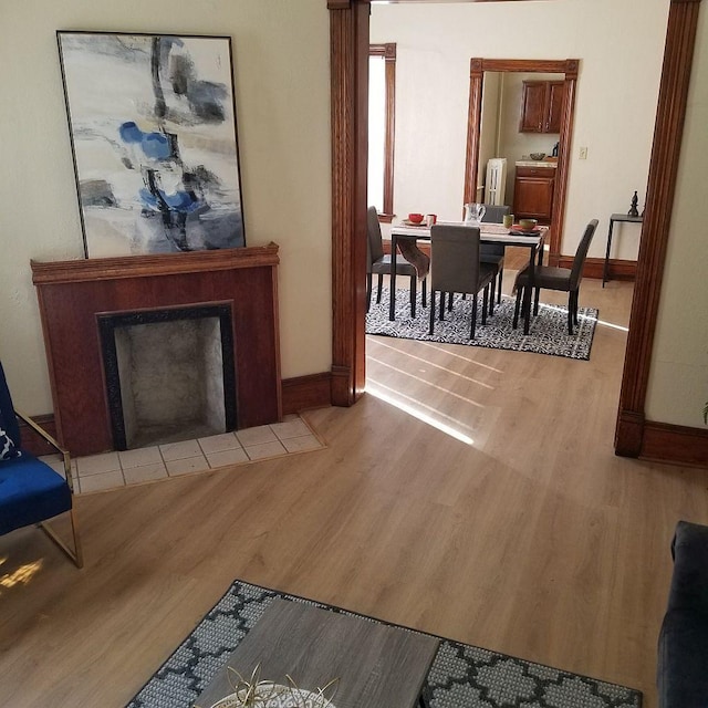 living room featuring light hardwood / wood-style flooring