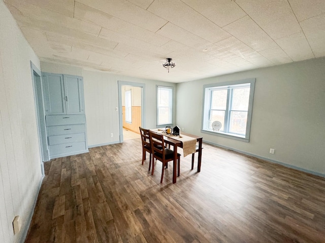 dining room featuring wooden walls and dark hardwood / wood-style flooring