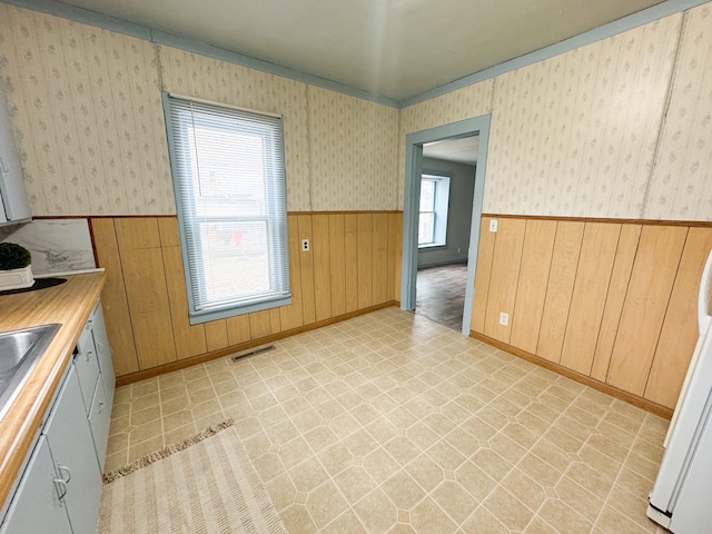kitchen with wooden walls and a wealth of natural light