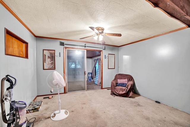 28407 145th St NW, Blue Hill Twp, MN 55398 - photo 17