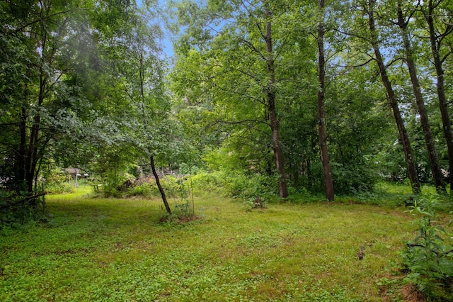 28407 145th St NW, Blue Hill Twp, MN 55398 - photo 25