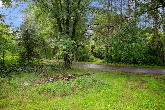 28407 145th St NW, Blue Hill Twp, MN 55398 - photo 28