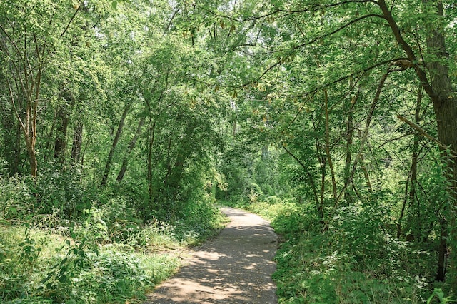 view of road