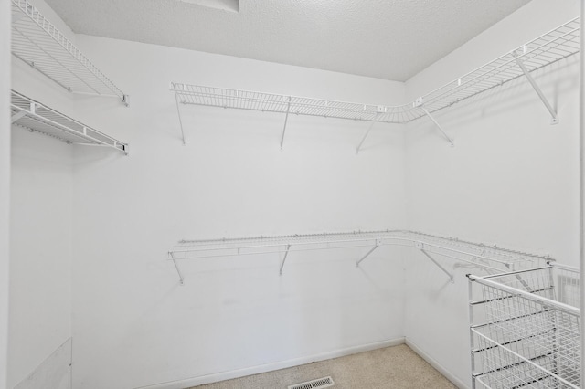 spacious closet with light carpet