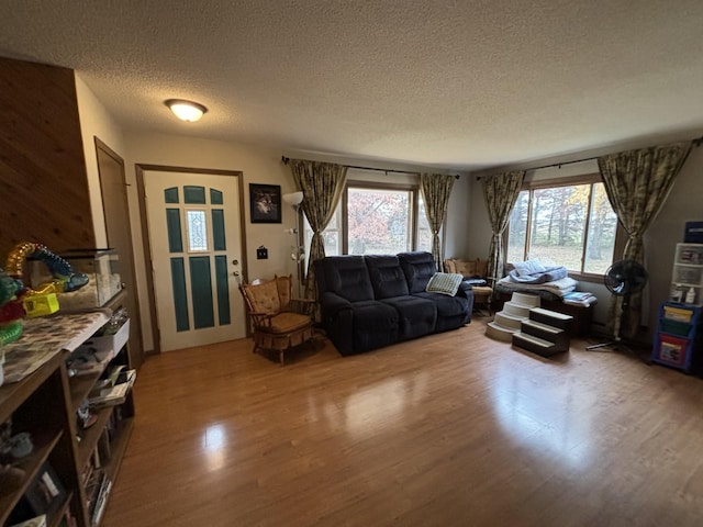 living room featuring hardwood / wood-style flooring and a textured ceiling