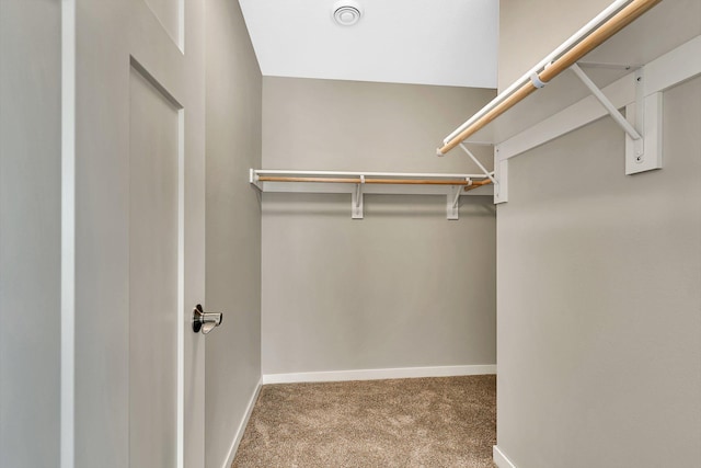 walk in closet with carpet floors