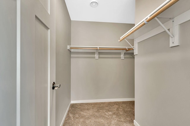 1710 Maple Leaf Ln, Litchfield, MN 55355 - spacious closet featuring carpet flooring and visible vents