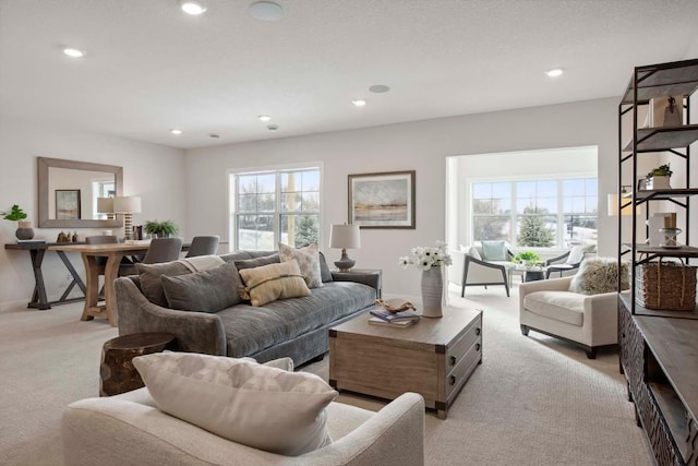 carpeted living room with a textured ceiling