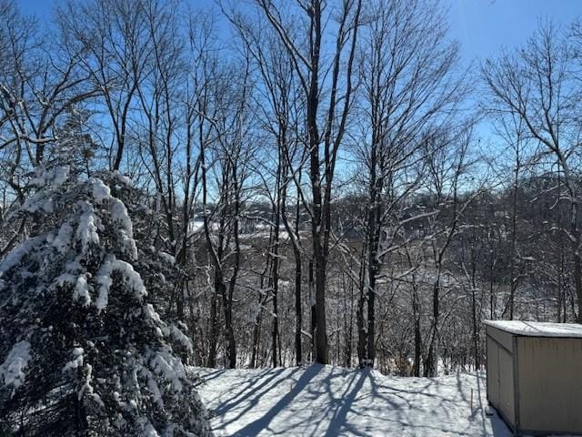 view of snowy yard