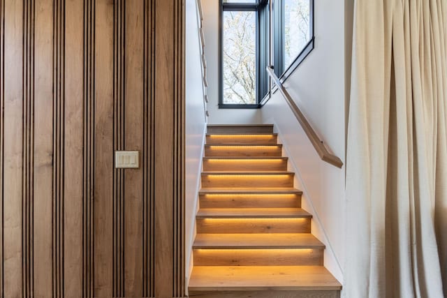 6620 Buckthorn Dr NW, Rochester, MN 55901 - view of stairs
