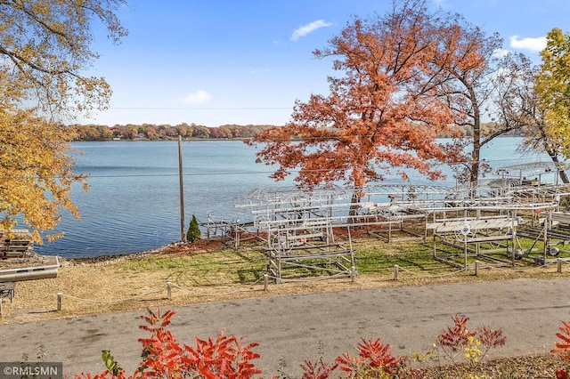 property view of water