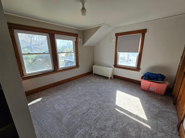 405 3rd Ave SE, Pipestone, MN 56164 - additional living space featuring radiator heating unit and carpet
