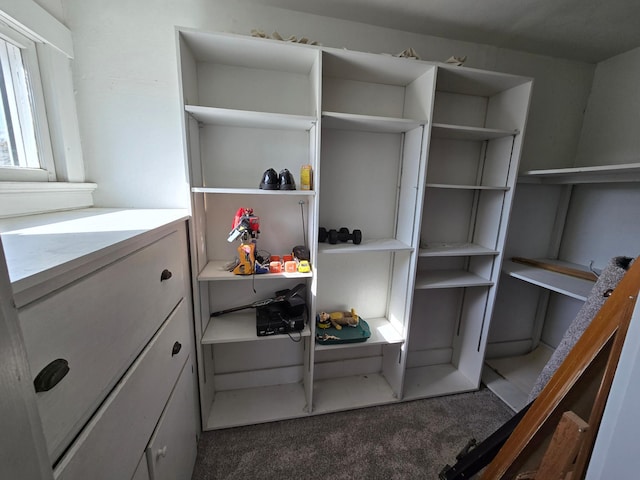 405 3rd Ave SE, Pipestone, MN 56164 - walk in closet featuring carpet floors