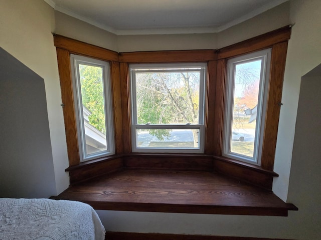 405 3rd Ave SE, Pipestone, MN 56164 - detailed view of crown molding