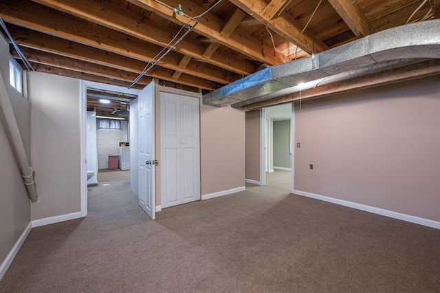 basement featuring carpet floors