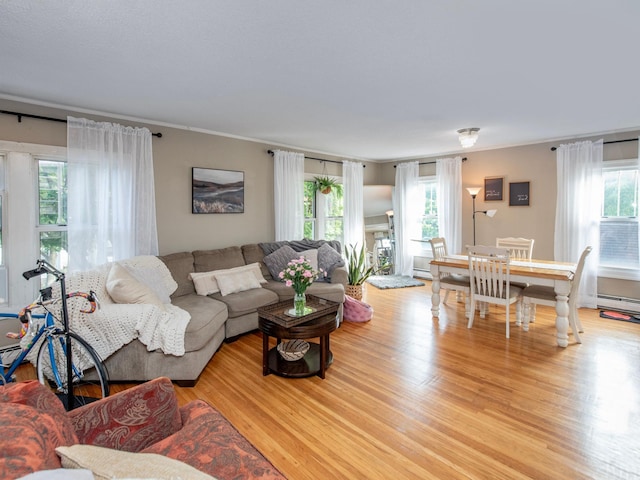 living room featuring light hardwood / wood-style floors, a healthy amount of sunlight, and baseboard heating