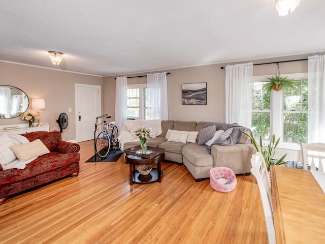 living room featuring light hardwood / wood-style floors, a textured ceiling, and ornamental molding