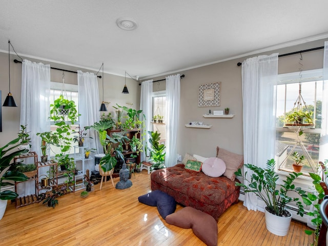 interior space with crown molding, hardwood / wood-style flooring, and a healthy amount of sunlight