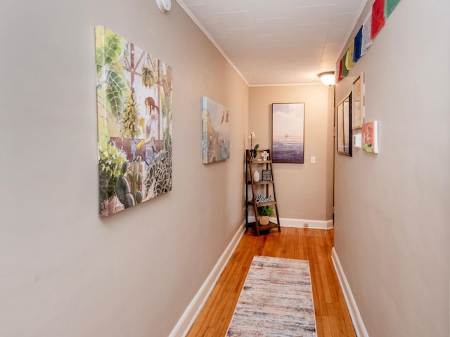 corridor featuring light hardwood / wood-style floors and ornamental molding