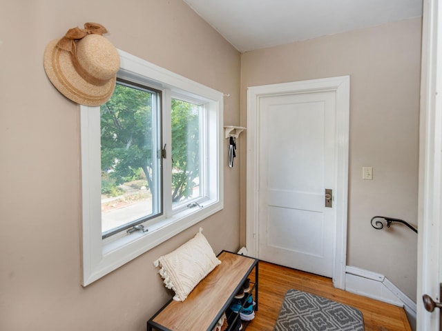 doorway to outside featuring hardwood / wood-style floors and a healthy amount of sunlight