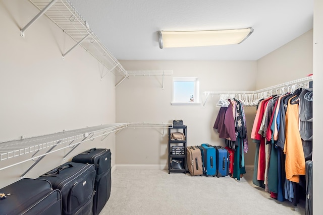 walk in closet featuring carpet