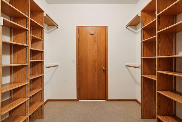 walk in closet with carpet flooring