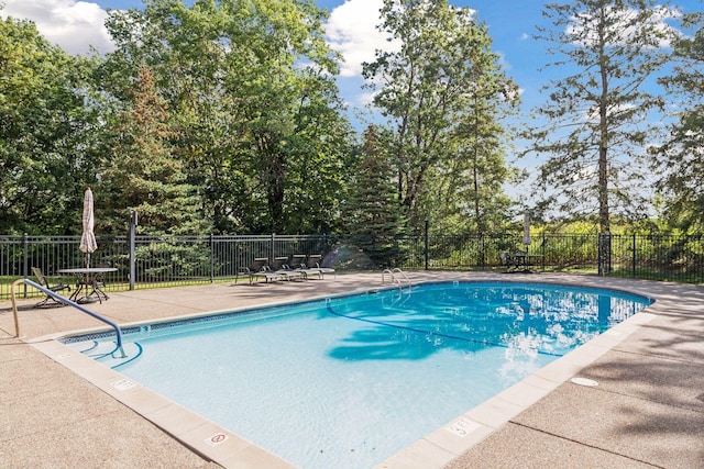 view of pool with a patio