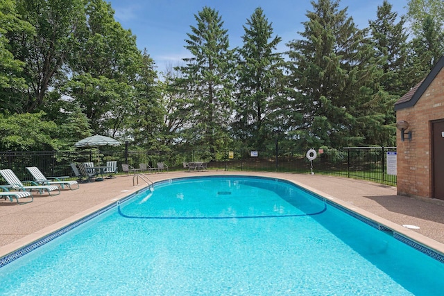 view of pool featuring a patio