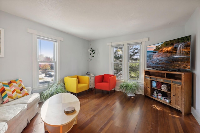 living area with a textured ceiling, dark hardwood / wood-style floors, and a healthy amount of sunlight