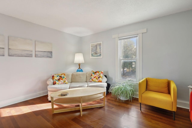 sitting room featuring dark hardwood / wood-style floors