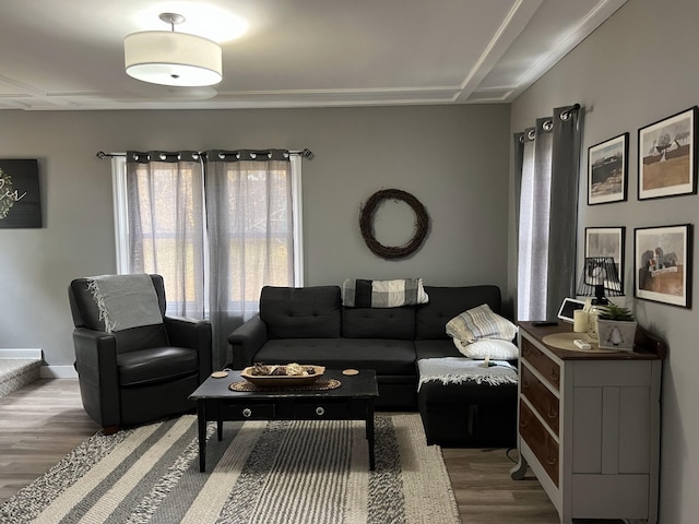 living room featuring wood-type flooring