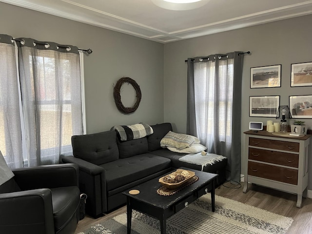 living room featuring light hardwood / wood-style floors and a healthy amount of sunlight