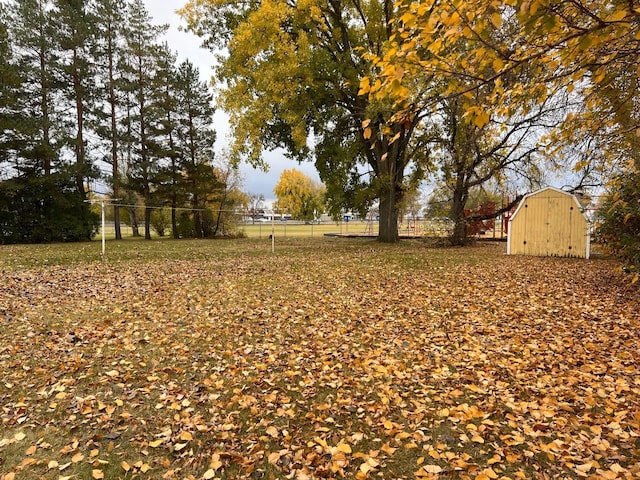 view of yard featuring a storage unit