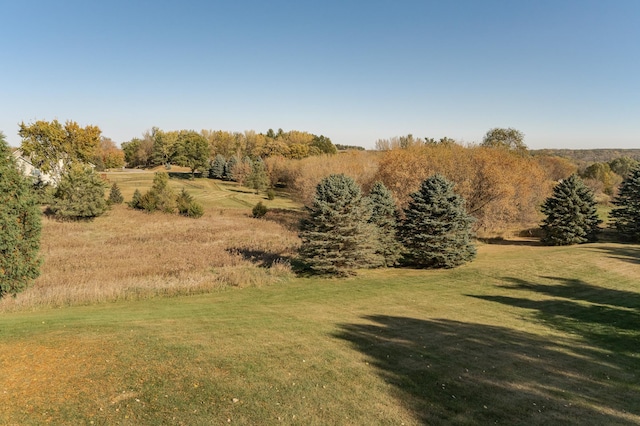 view of landscape featuring a rural view