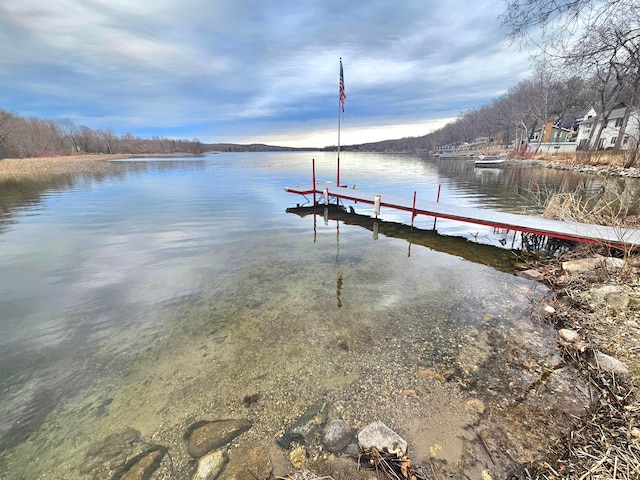 dock area with a water view