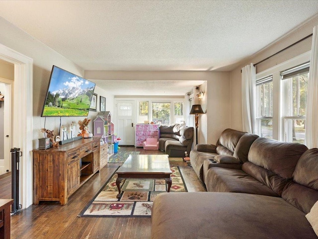 living room with a textured ceiling and dark hardwood / wood-style flooring