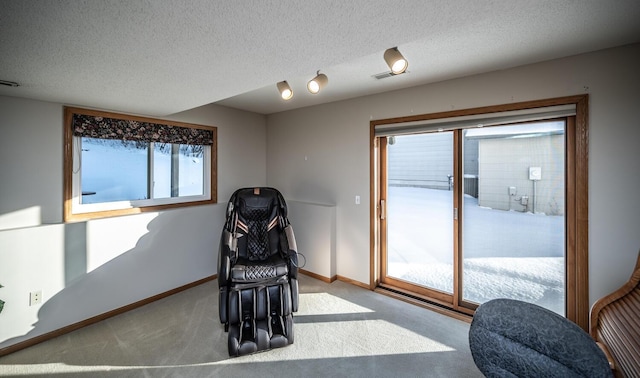 sitting room featuring light carpet, a textured ceiling, and a healthy amount of sunlight