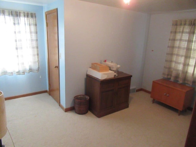 carpeted bedroom with multiple windows