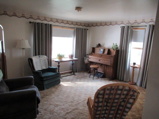 sitting room with carpet floors