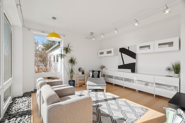 living room featuring rail lighting and wood finished floors