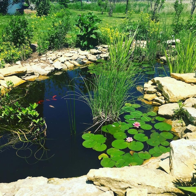 exterior space featuring a garden pond