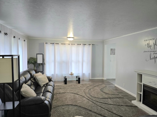 living room featuring crown molding, a textured ceiling, and dark hardwood / wood-style flooring