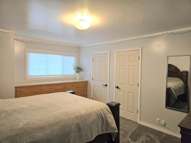 3414 County Road 32 S, South Koochiching Unorg Terr, MN 56654 - bedroom with baseboards, dark colored carpet, and two closets