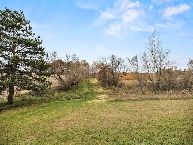 view of yard featuring a rural view