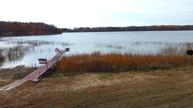 dock area featuring a water view