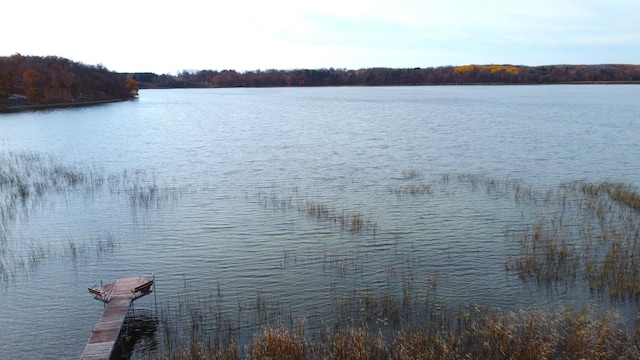 water view featuring a dock