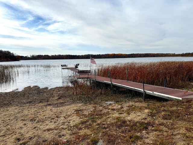 dock area with a water view