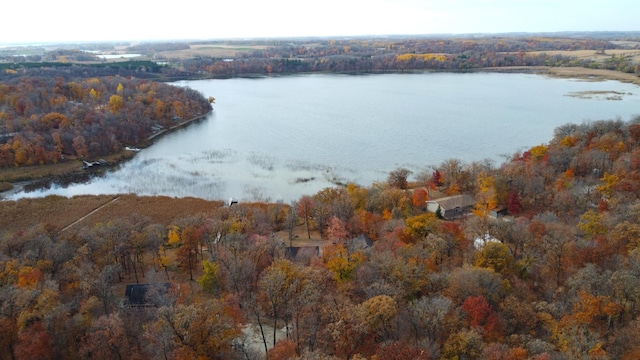 bird's eye view featuring a water view and a view of trees